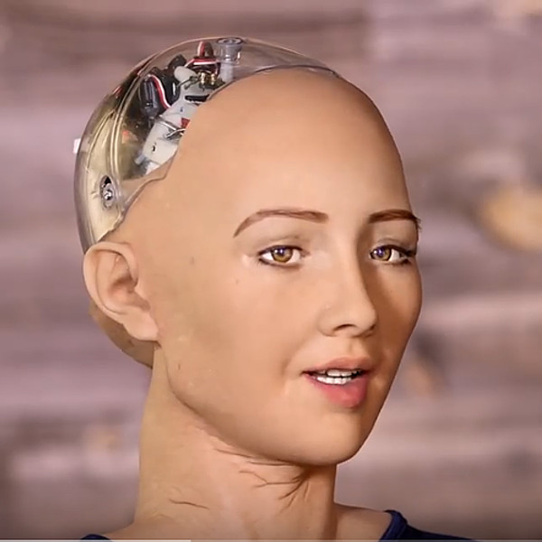 Sophia Hanson Robotics